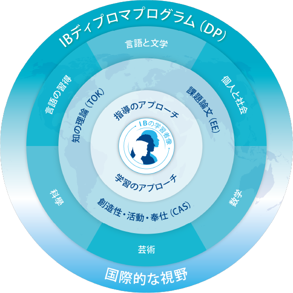 IBディプロマ・プログラム(DP)